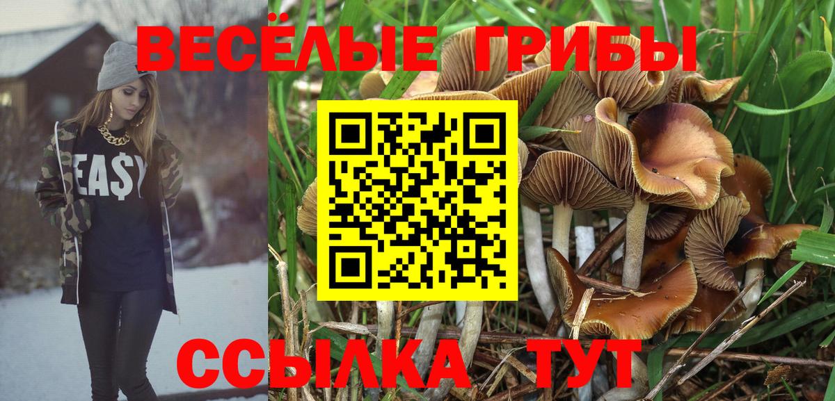 Галлюциногенные грибы Magic Shrooms  Вход с VPN  Корсаков 